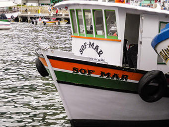 Barcos da Enseada de Araçatiba - Ilha Grande