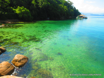 Trilha T06 - Lagoa Verde - Ilha Grande - RJ