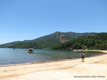 Trilha T06 - Praia da Tapera - Ilha Grande - RJ