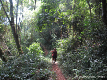 Trilha T07 – Paia Vermelha à Gruta do Acaiá - Ilha Grande - RJ