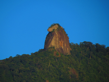 Trilha T13 – Abraão – Pico do Papagaio - Ilha Grande - RJ