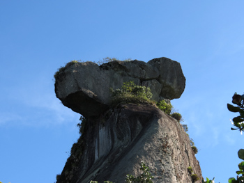 Trilha T13 – Pico do Papagaio - Ilha Grande - RJ