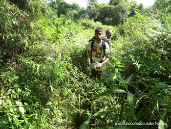 Trilha T16 – Dois Rios – Parnaioca - Ilha Grande - RJ