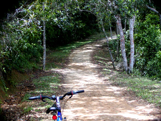 Passeio de bicicleta para Lopes Mendes