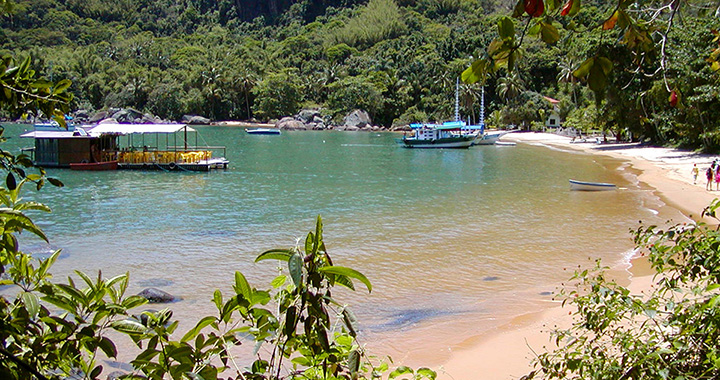 Encontro na Ilha de Palmas abre Temporada Oceânica