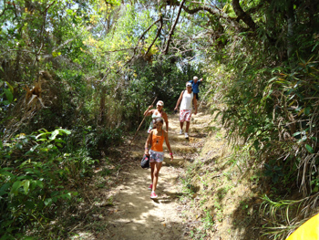 Trilha T10 – Enseada do Abraão - Ilha Grande - RJ