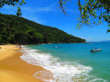 Trilha T10 – Praia Brava de Palmas - Ilha Grande - RJ