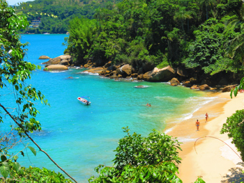 Trilha T10 – Praia Brava de Palmas - Ilha Grande - RJ