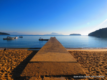 Trilha T10 – Praia Grande de Palmas - Ilha Grande - RJ