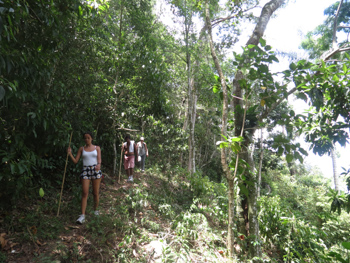 Trilha T12 – Pouso – Farol dos Castelhanos - Ilha Grande - RJ