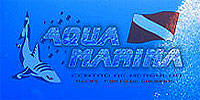 Aqua Marina - Mergulho em Ilha Grande.