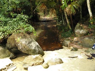 Córrego da praia da bica - enseada do Abraão - Ilha Grande - RJ