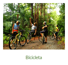 Passeios de bicicleta - Ilha Grande - RJ