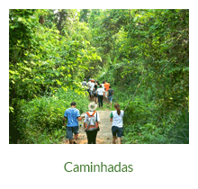 Caminhadas - Ilha Grande - RJ