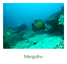 Mergulho - Ilha Grande - RJ