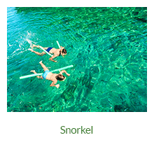 Snorkel - Ilha Grande - RJ