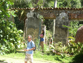 Trilha T11 – Caminho da Aroeira - Ilha Grande - RJ