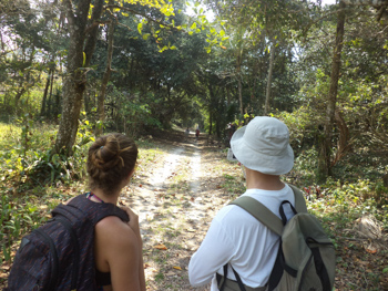 Trilha T11 – Caminho da Aroeira - Ilha Grande - RJ