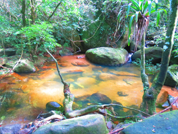 Trilha T14 – Piscina dos Soldados - Ilha Grande - RJ