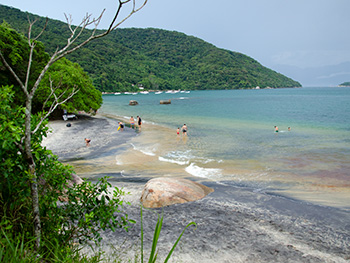 Praia Preta - Encontro do rio com o mar - Ilha Grande - RJ