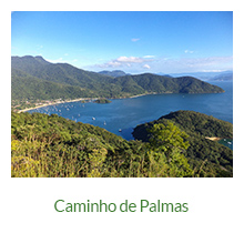 mirante-do-caminho-de-palmas-ilha-grande