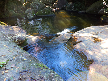 Poção com águas calmas e cristalinas - Abraão - Ilha Grande - RJ