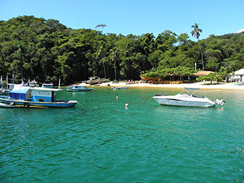 Trilha T03 - Praia de Japariz - Ilha Grande - RJ