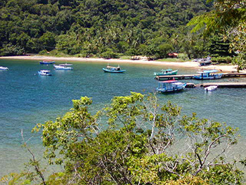 Trilha T05 - Praia de Matariz - Ilha Grande - RJ