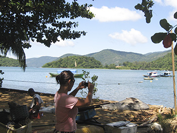 Trilha T03 - Saco do Céu à Freguesia de Santana - Ilha Grande - RJ