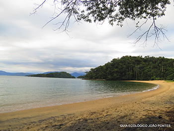 Trilha T04 - Freguesia de Santana à Bananal - Ilha Grande - RJ