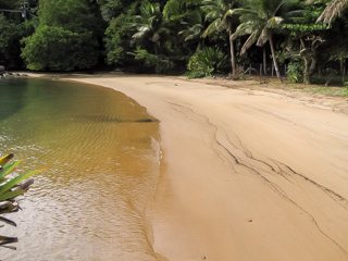 A Praia do Marinheiro possui águas claras e muita sombra