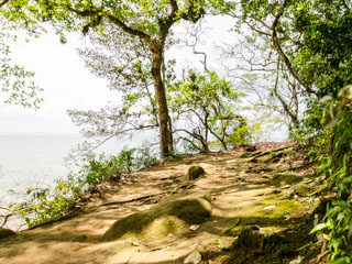 Final da trilha para a Praia de Araçatibinha - Ilha Grande