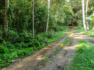 A famosa "Estrada da Aroeira", caminho para o canto esquerdo de Lopes Mendes