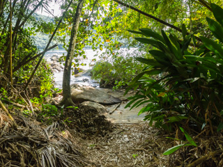A trilha que dá acesso a Praia da Itaoquinha é bem discreta